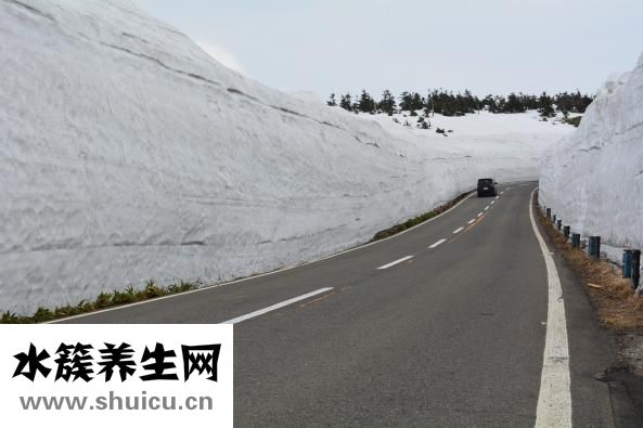 积雪苷霜软膏