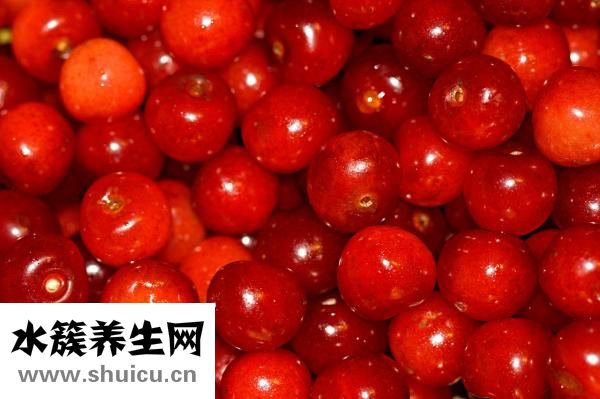 茄子的功效与作用
