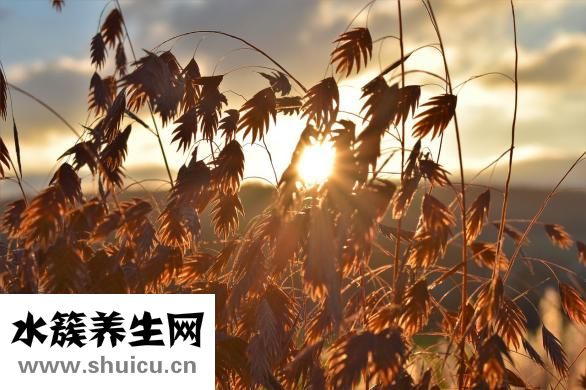 复合维生素