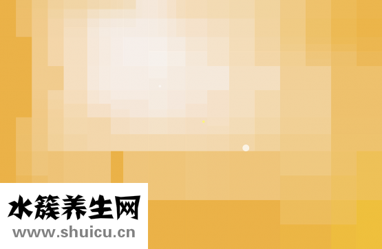 重楼的功效与作用