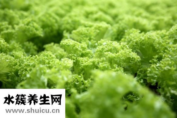 种植牙危害