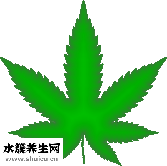 盐酸氨溴索