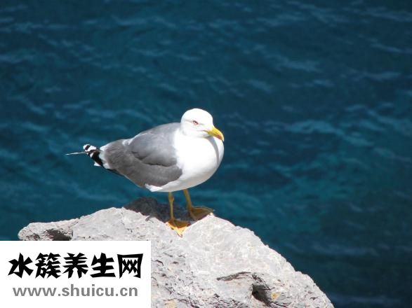 颈椎疼怎么办