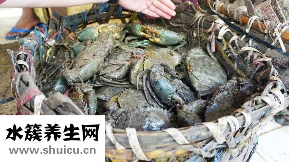 大闸蟹怎么吃