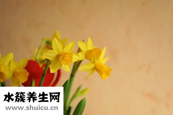 中老年奶粉