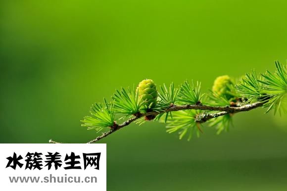 恶露是什么