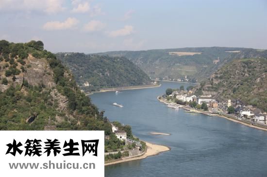 穿心莲内酯滴丸