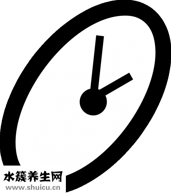 皮蛋瘦肉粥
