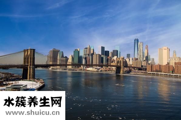 生姜的功效与作用