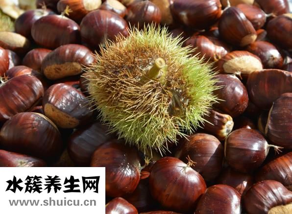 板栗的热量