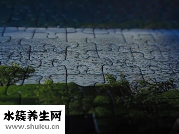 肛周脓肿图片
