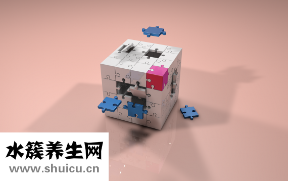 扁豆的功效与作用