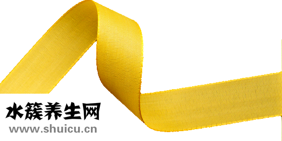 肾上腺素的作用