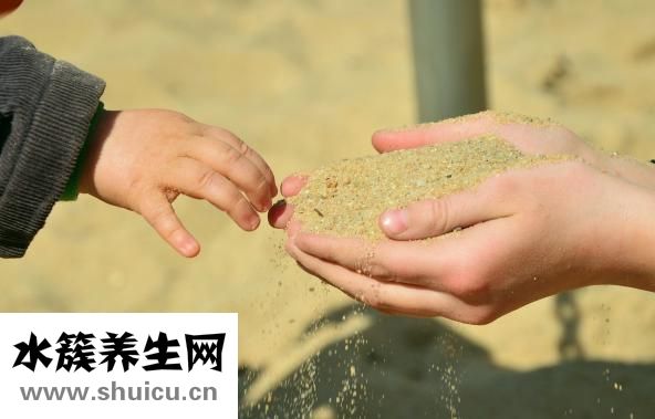 竹荪的功效与作用
