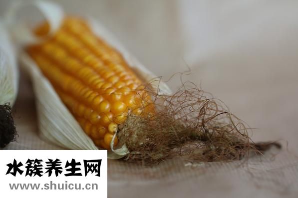 玉米的热量