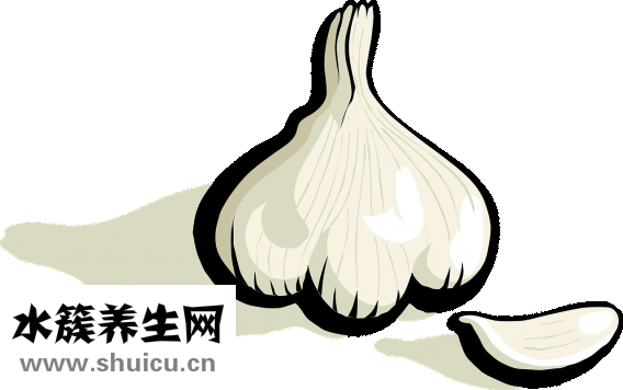 牛筋草的功效与作用
