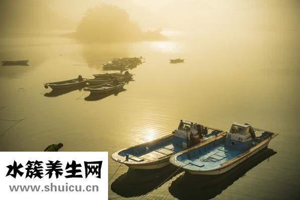海参多少钱一斤