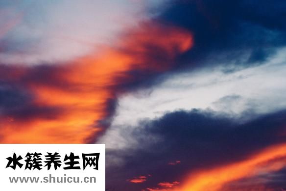 黄连素的功效与作用