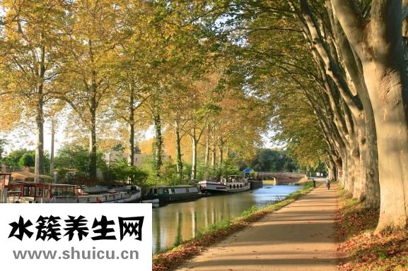 头孢地尼胶囊