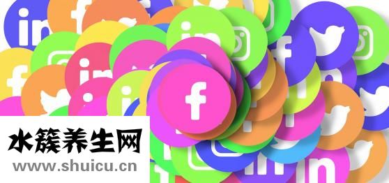 桂圆和龙眼的区别