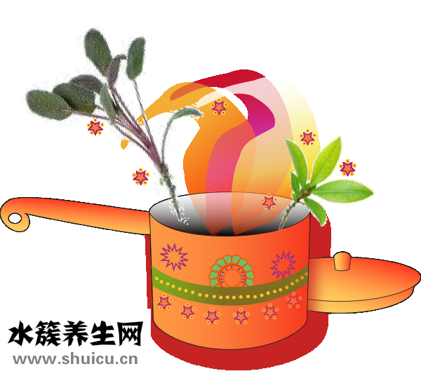 二妙丸的功效与作用
