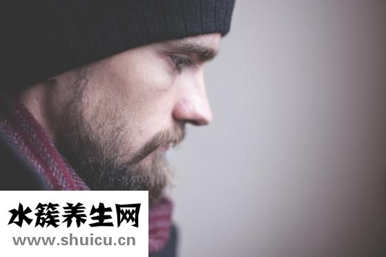 竹荪的功效与作用