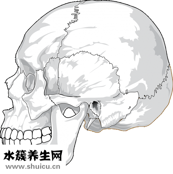 非甾体类抗炎药