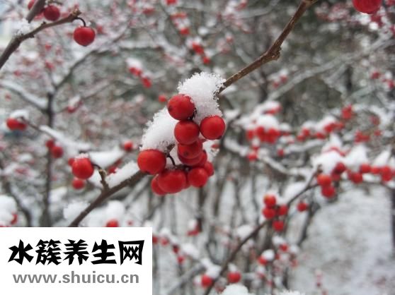熬夜的危害