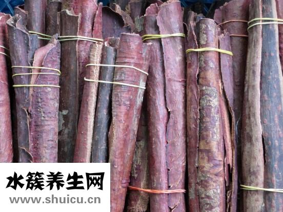 海参的做法