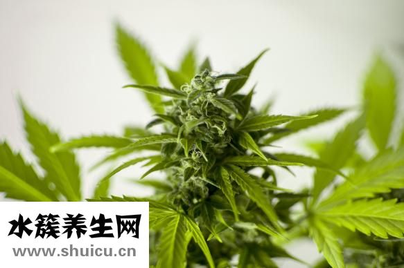 人参果怎么吃