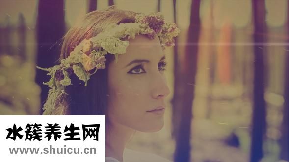 仙人掌图片