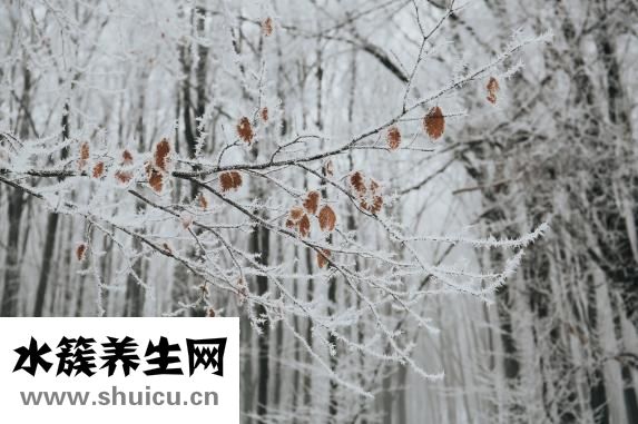 蒸米饭水和米的比例