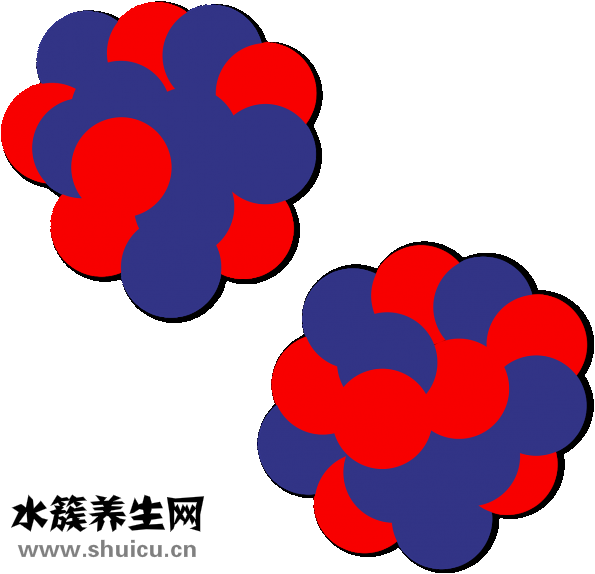 呈味核苷酸二钠