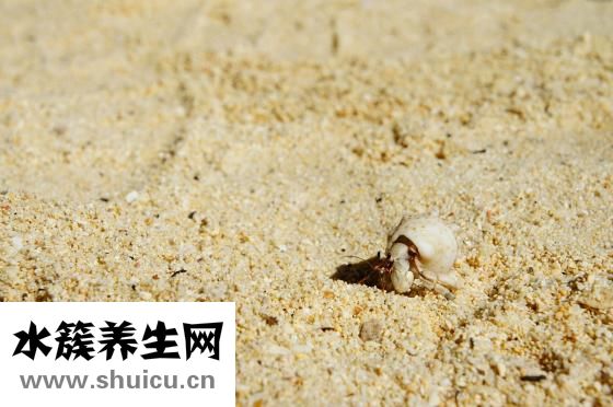 鳞状细胞癌