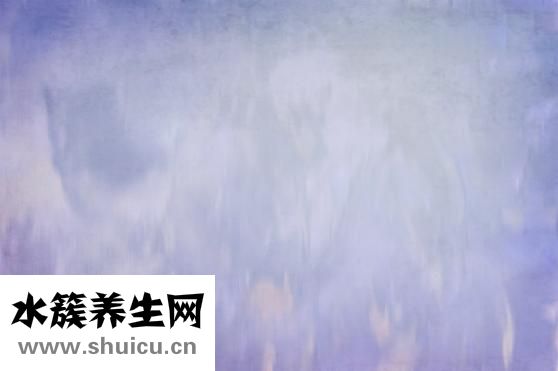 薏苡仁的功效与作用