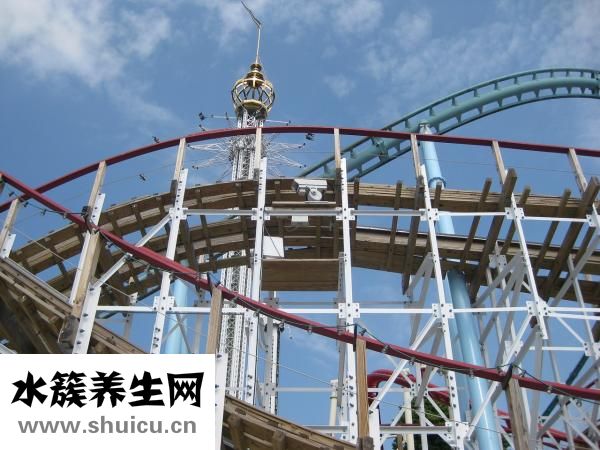 肾上腺素的作用