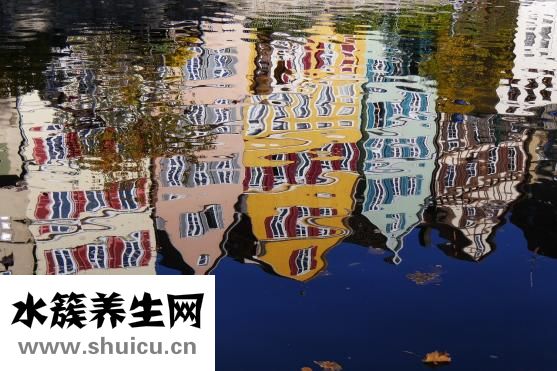 薏苡仁的功效与作用