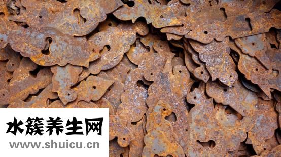 琥珀酸亚铁片