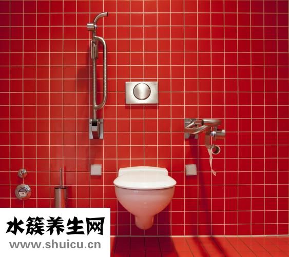 琥珀酸亚铁片