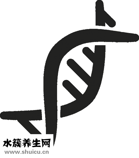 淮山的功效与作用