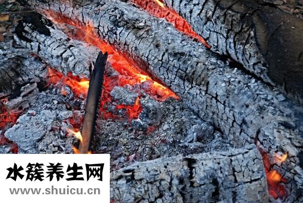 人体结构示意图