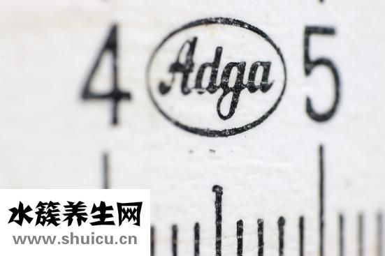 血小板正常值