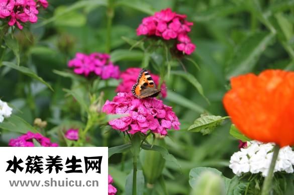 氯化钠注射液