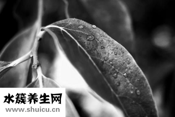 斯德哥尔摩综合症