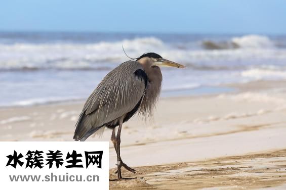 开塞露怎么用