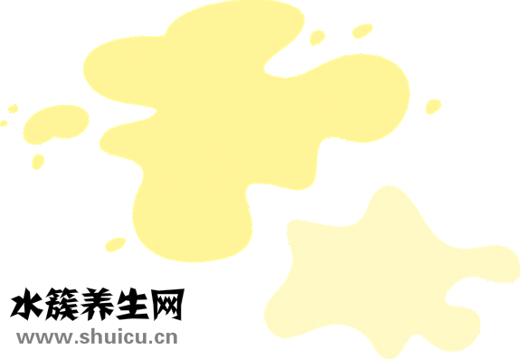 涂抹鱼石脂软膏注意事项一定要遵医嘱