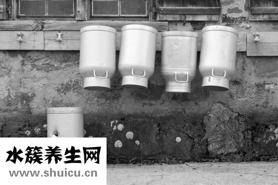 碱性食物有哪些
