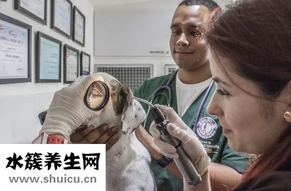 香砂六君丸