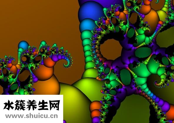 淮山的功效与作用