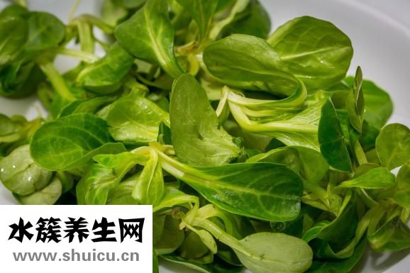 碱性食物有哪些